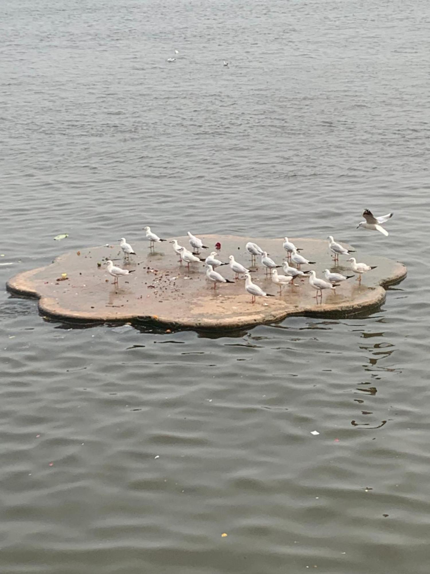 Hotel Rajyashree Palace Benares Buitenkant foto